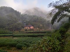 -仙霞关景区