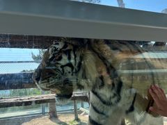 -西霞口神雕山野生动物世界