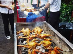 -西双版纳原始森林公园