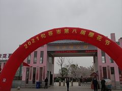 -天王浮山樱花园