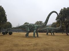 -中国西峡恐龙遗迹园
