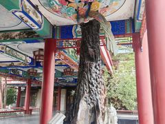 -大明幻境第一城