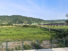 -映像烟台·海鲜·地道鲁菜(黄山路店)