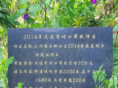 -凉都花海温泉旅游度假区