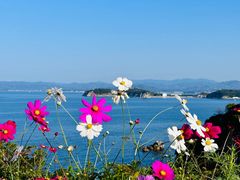 -南紀白浜 浜千鳥の湯 海舟
