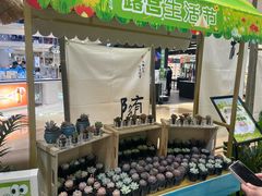 -伊藤洋华堂(高新店)