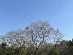 -三水森林公园