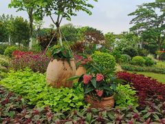 -东莞植物园