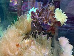 -太平洋海底世界