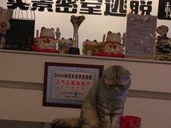 -Doors独立剧情密室(东门分店)