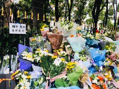 -上海市世外小学