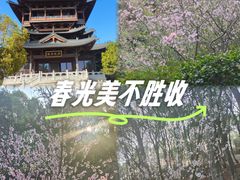 -杭州半山国家森林公园