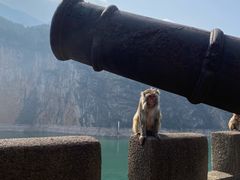 -白帝城·瞿塘峡景区