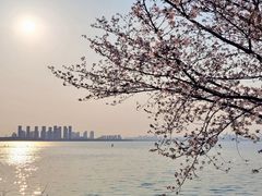 -苏州独墅湖世尊酒店