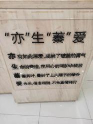 点击看大图 -Cocodemer女性健康·产后恢复(天一广场店)
