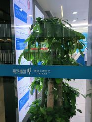 -北京雍禾植发医院