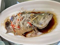 清蒸鲈鱼-成都驻京办餐厅(蜀都宾馆店)