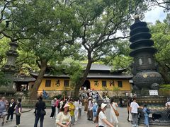 -普陀山风景名胜区-法雨禅寺