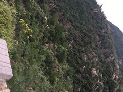 -府君山公园