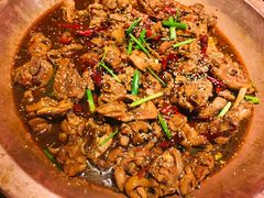 -成老灶火锅鸡(高东街店)