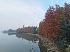 -长广溪湿地公园