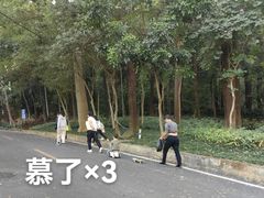 -火炉山森林公园