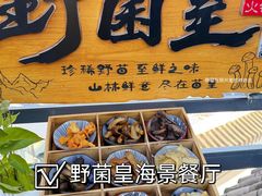 -野菌皇海景野生菌火锅(滨海大道店)