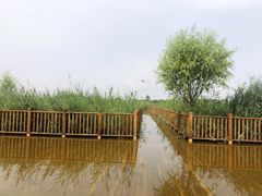 -水西公园