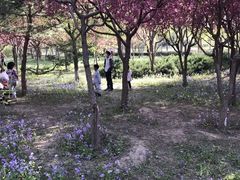 -东升八家郊野公园