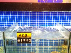 水产区-盒马鲜生(杭州运河上街店)