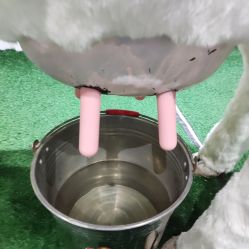 -秦皇星际小蚂蚁乐园