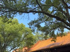 -南岳大庙