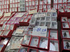 -万商花鸟市场