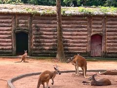 -深圳野生动物园