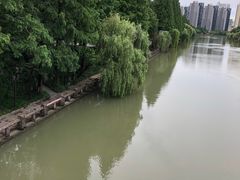 -运河游船(武林门码头)