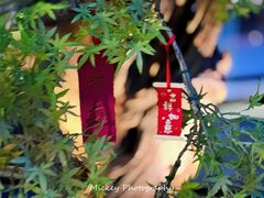 -桂满陇·景观餐厅(新世界店)