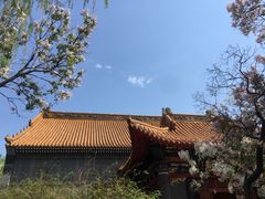 -哈尔滨极乐寺