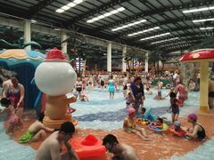 游乐设施-南宫温泉水世界