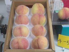 -老袁家蜜桃农场·阳山水蜜桃