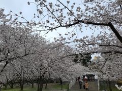 -苏州上方山国家森林公园
