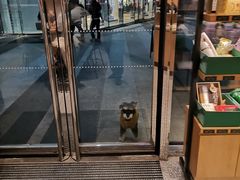 -星巴克(上海长宁来福士1F店)