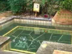 -观唐（国际）度假村温泉