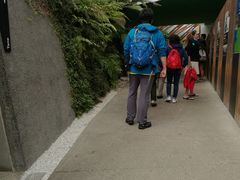 -怀托摩萤火虫洞