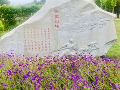 -铁山坪森林公园