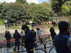 -上海市长宁区天山中医医院