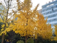 -四川大学华西口腔医院(华西院区)