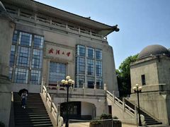 -武汉大学-樱园