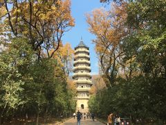 -灵谷景区