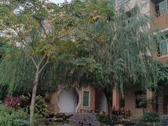 -国家五钻酒家·西樵旺阁渔村(西樵店)