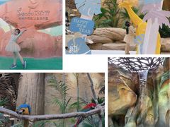 -杭州开元森泊度假乐园